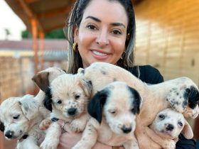 ffa943f1 fb91 4be9 bc22 1a6311038d4f