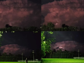 imagem 2023 12 11 164241086