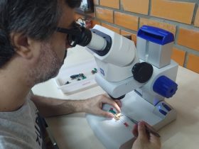 mestrado em biodiversidade neotropical da unila esta com inscricoes abertas 6584efc51f8cb