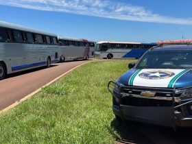 onibus apreendidos