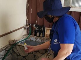 sanepar vistoria imoveis para evitar despejo irregular de esgoto 6584ee6e3d83a