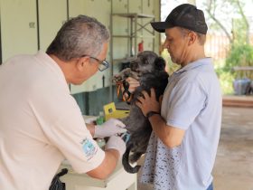 09ec2fb1 4caf 44e3 a75b f768f0a3b1b5