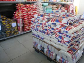 alimentos