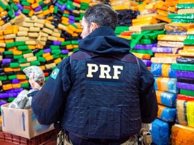 apreensoes de drogas