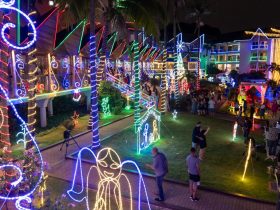 b14bb90a 2e57 41e8 8fd6 e9f2116ace4a