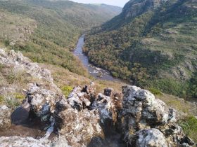 guartela