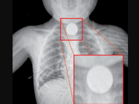 imagem 2024 01 15 103709219