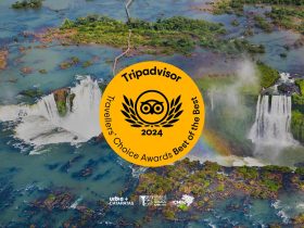 unnamed 2024 01 18T145608.344