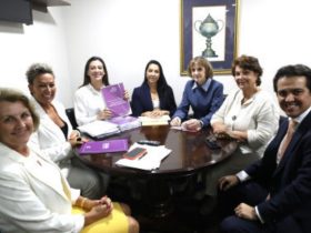 Comissão especial aprova Código da Mulher Paranaense