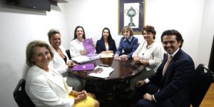 Comissão especial aprova Código da Mulher Paranaense