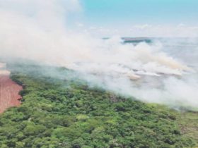 Tempo seco e calor extremo acendem novo alerta para incêndios ambientais em Foz