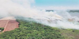 Tempo seco e calor extremo acendem novo alerta para incêndios ambientais em Foz