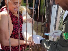 CCZ de Foz amplia áreas de vacinação contra a raiva no formato casa a casa