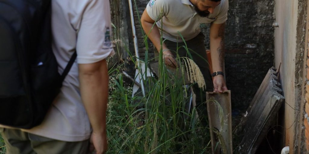 Equipe técnica do Governo Federal vai apoiar combate a dengue em Foz do Iguaçu