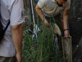 Equipe técnica do Governo Federal vai apoiar combate a dengue em Foz do Iguaçu