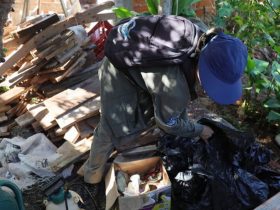 Com a circulação do sorotipo 3 do vírus da dengue, Paraná alerta para casos e cuidados