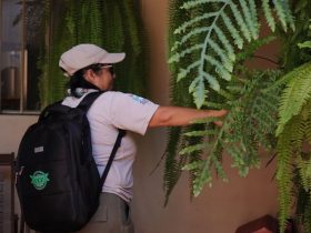 Mutirão de combate à dengue em Foz recolhe mais de 115 toneladas de lixo no Morumbi III