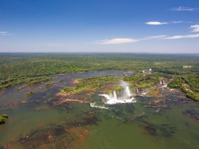 e7ad555f 9309 4ba1 9a0a 253d9642421e