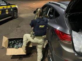 PRF apreende mais de 28 quilos de “supermaconha” em Santa Terezinha de Itaipu (PR)