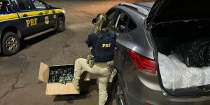 PRF apreende mais de 28 quilos de “supermaconha” em Santa Terezinha de Itaipu (PR)