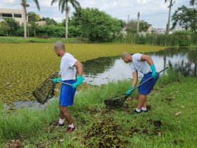 VÍDEO: Semana do Dia Mundial da Água em Foz começa com limpeza do Lago Monjolo