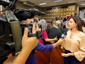 Projeto aprovado em Foz proíbe animais expostos à venda em vitrines