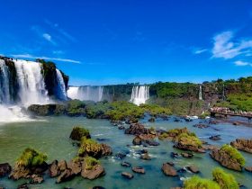 65553ca2 904b 443f b8e0 5ac6e0f9ccff 1