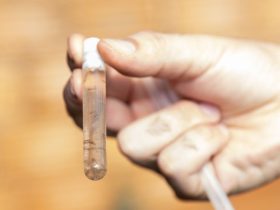 Sanepar realiza mutirão contra a dengue em Foz do Iguaçu neste sábado, 13