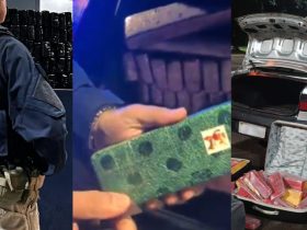 Mais quatro apreensões: Em menos de 9h, PRF apreende 883 quilos de maconha na região fronteiriça do Paraná