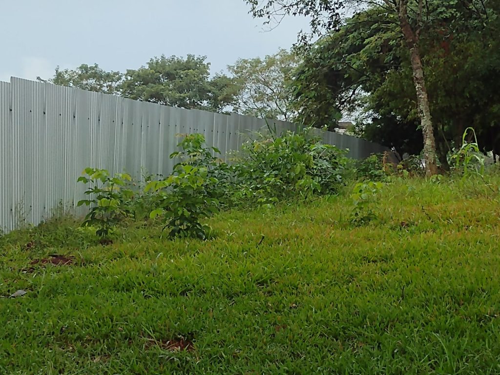 Prefeitura quer rescindir contrato com vencedora da licitação para a obra da escola da Vila Yolanda 1 e4a5aa93 fdd6 4a09 bb4d 1a50235841e3