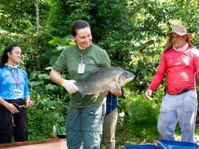 f737d019 0b00 4d20 9161 c788011eefc1