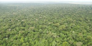 Foz do Iguaçu vai receber em junho fórum nacional sobre as Unidades de Conservação