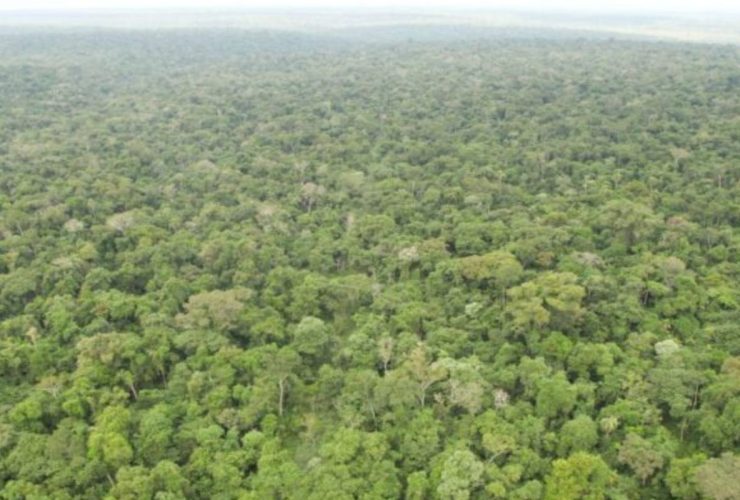 Foz do Iguaçu vai receber em junho fórum nacional sobre as Unidades de Conservação