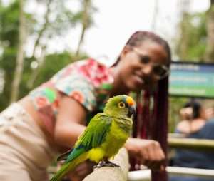 Parque das Aves com entrada gratuita a moradores no mês de aniversário de Foz