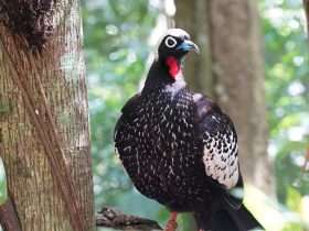 5273e0bd e082 4154 a5bb 3a5c55db4e7e