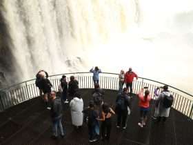 69b01191 e6bc 41e8 b317 2a6f0a82a943