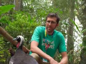 Parque das Aves participa pela primeira vez do Avistar, maior encontro de observadores de aves da América Latina