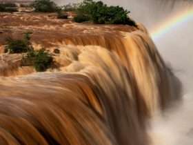 892db15c 95ba 41b1 bbd0 38ef77d5c39f