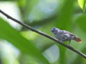 91044345 2b6c 4bee 8d44 bb931bee8231