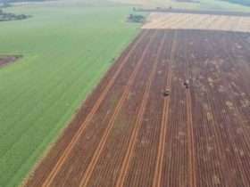 Area agricola Foz