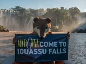 Quati Creditos Nilmar Fernando 7