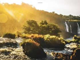 a826ba70 1b3f 43ea b31c 05c3ea41eb74