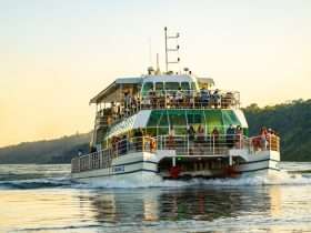 b49c2177 ca04 4b9d 8705 3976840a7436