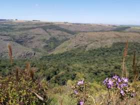 rppn 2 tereza hoffmann iat