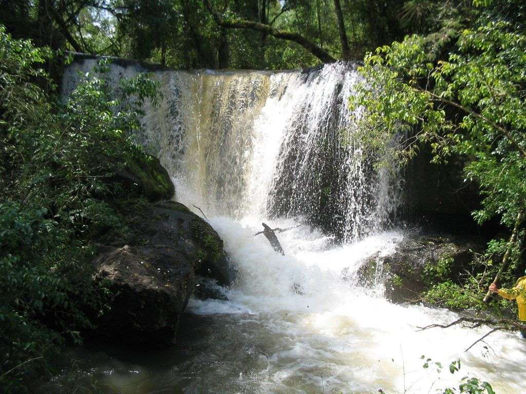 Reabertura de trilhas e ações de sensibilização ambiental no Parque Nacional do Iguaçu marcam Semana do Meio Ambiente