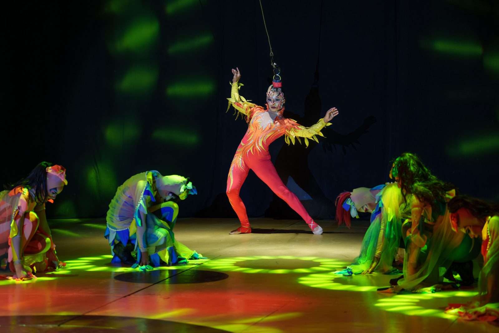 CIRCO DOS SONHOS FOTO DE LUCAS CRUDELI 4 1