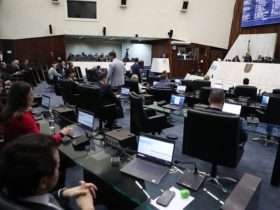 assembleia plenario