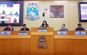 Comissão Mista realiza audiência pública para debater alterações na Lei de Zoneamento em Foz