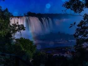 1e877c79 2165 42db b511 4988f085ad12