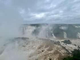 WhatsApp Image 2024 07 13 at 11.31.23 1